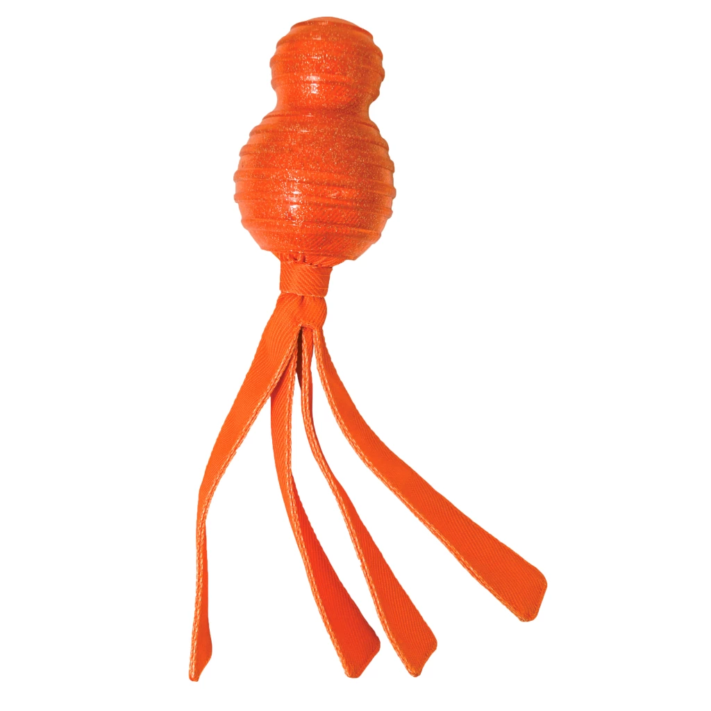 KONG Wubba Comet 22 x 5,5 x 5,5 cm Oranje