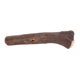 Dog Woodzzz Olijfhout Kauwwortel Maat L
