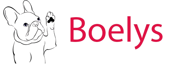 Boelys
